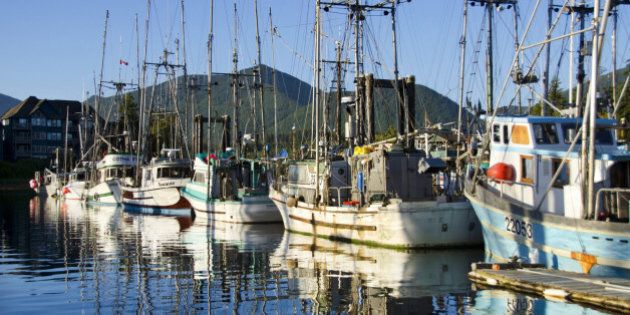 Ucluelet harbor on Vancouver Island