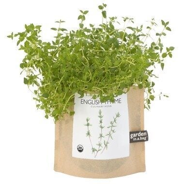 Fresh Herbs In A Bag