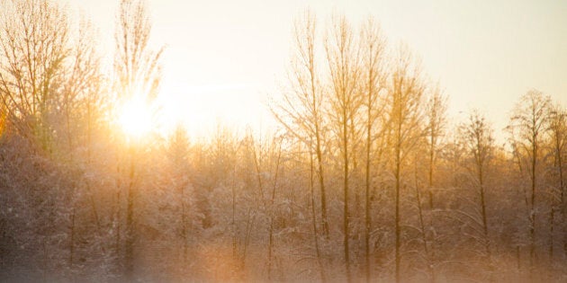 Sunrise on a crisp winter morning near Vancouver BC.