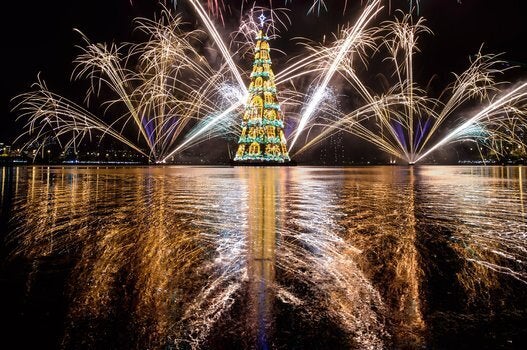 Floating Tree In Rio