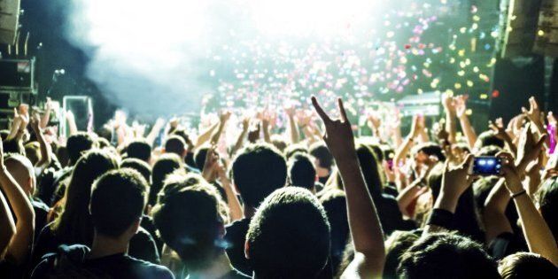 people in a music concert