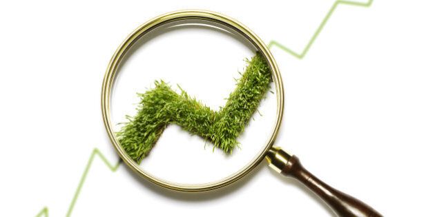 magnifying glass on grass stock chart