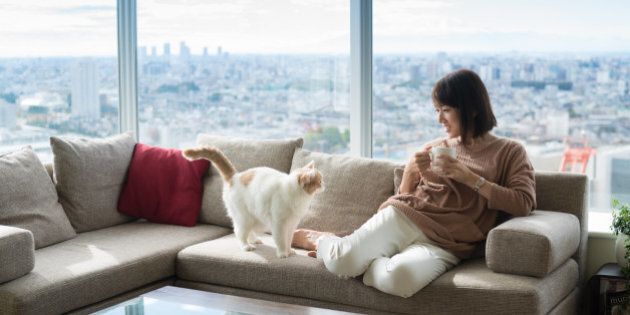 Japanese woman and cat in high-rise apartment