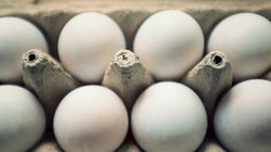 Canadian Egg Farmers: The Real Santa