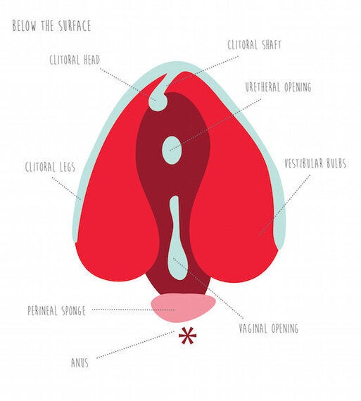 Explore New Female Erogenous Zones Huffpost Canada