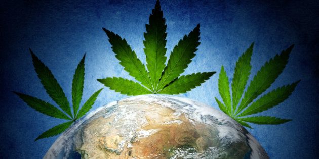 cannabis has captured the world....