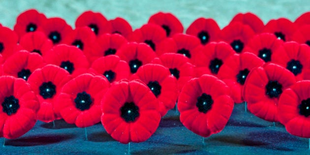 [UNVERIFIED CONTENT] The red poppy (Canadian Version) is a symbol of remembrance for all the men and women veterans who fought in war and conflict. The poppies are sitting on their pins, row on row.