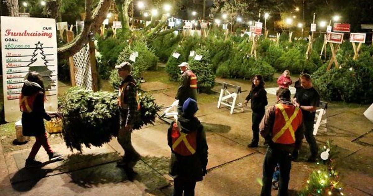 VancouverArea Christmas Tree Sales Foster Hope For 'AgedOut' Kids
