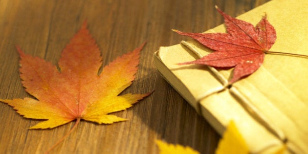 a book and maple leaves