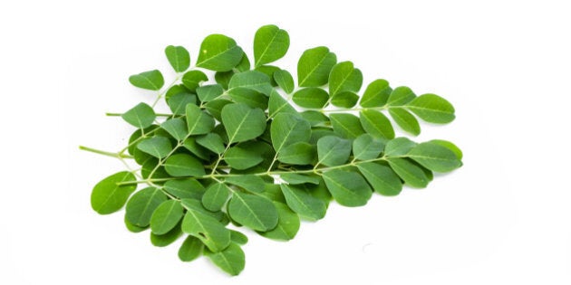 moringa oleifera leaves...