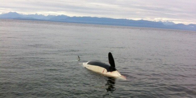 Dead Orca Found Off B.C. Coast Is 'Tragic' Loss (PHOTOS) | HuffPost ...