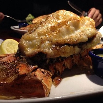 Rock Lobster Tail