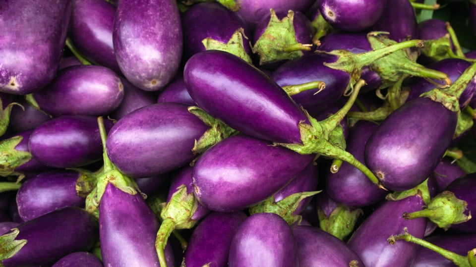 Eggplant