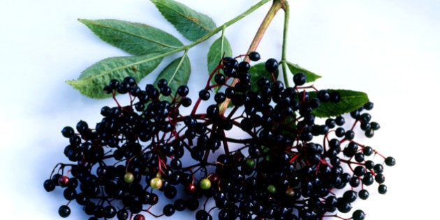 Elderberries