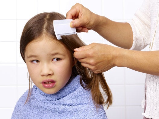 Yes, It's Lice Season