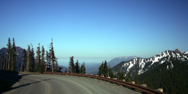 Road to Hurricane Ridge, Olympic National Park, WA