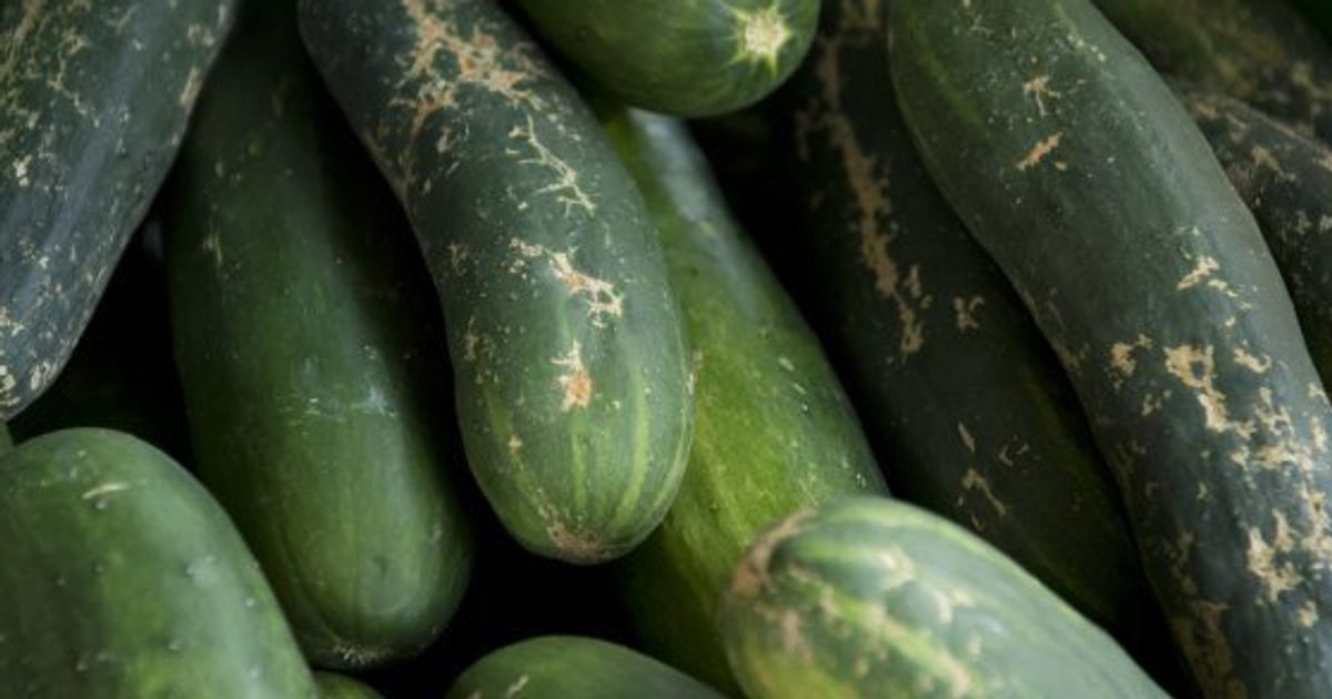 Safeway Recalls Cucumbers Sold In Several Provinces HuffPost Life