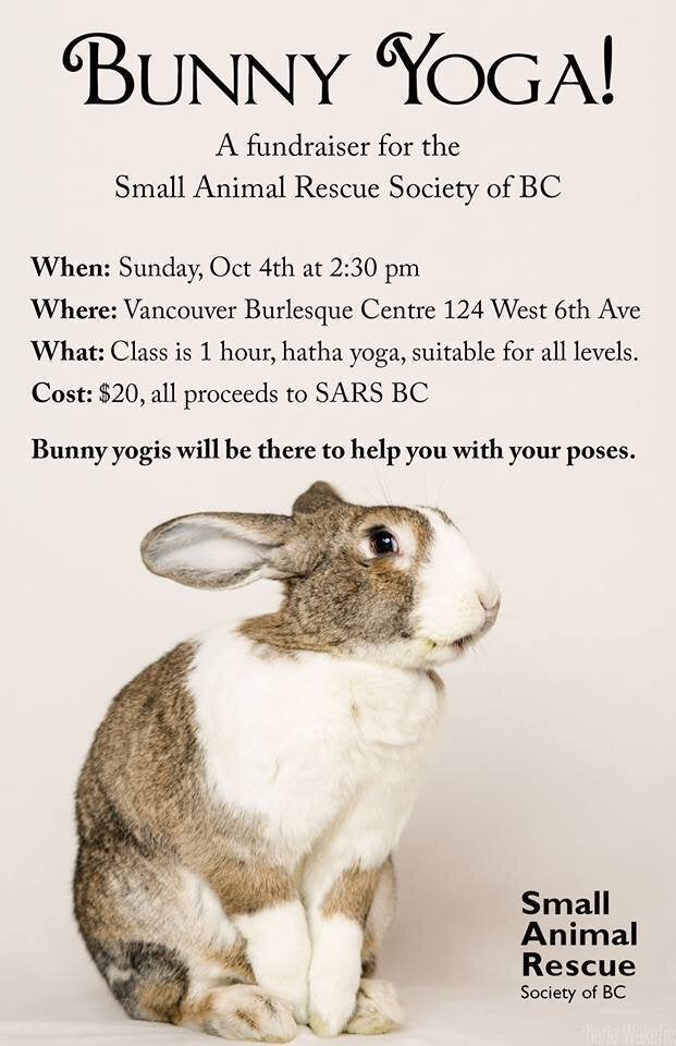 Bunny Yoga Is A Thing, Because Vancouver