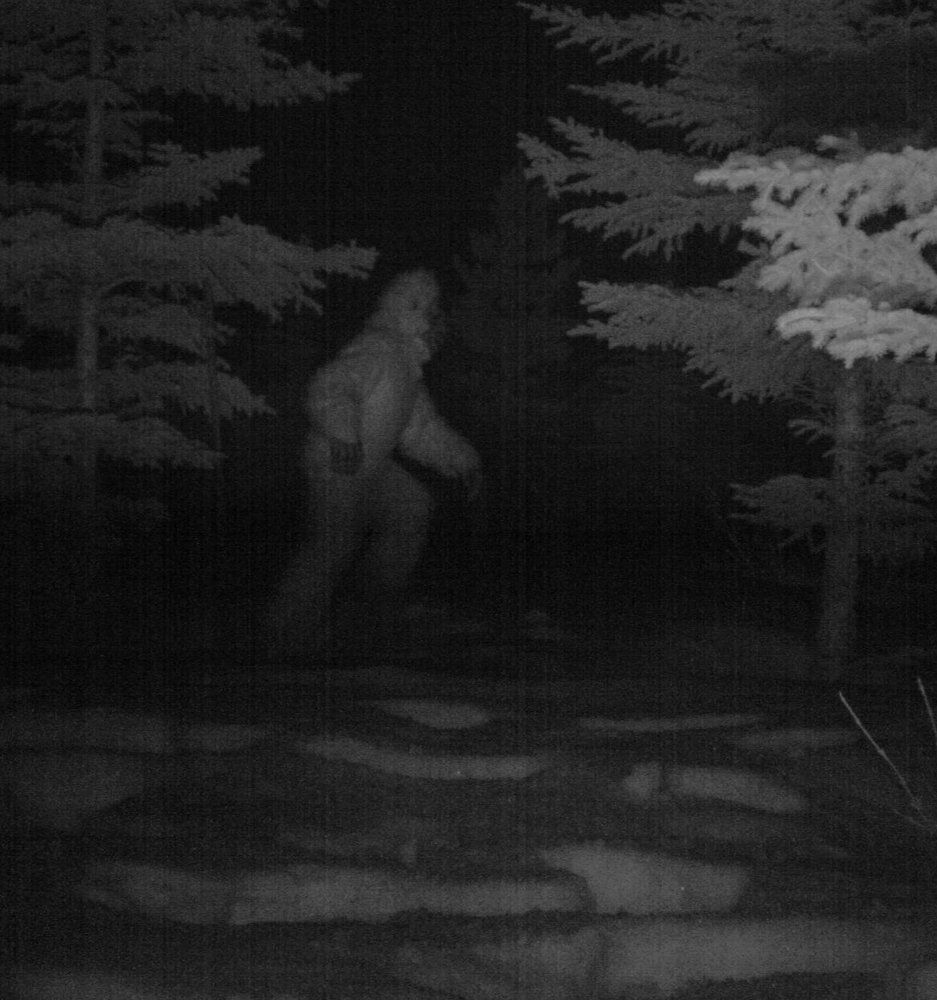 Bigfoot in Banff?