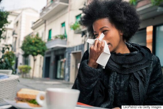 Allergy Facts Eight Myths And Truths About Allergies Huffpost Life