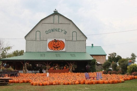 Downey's Farm Market