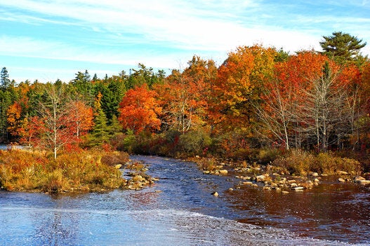 Fall Photos In Canada Remind You Why It S The Greatest Season Huffpost Canada Life