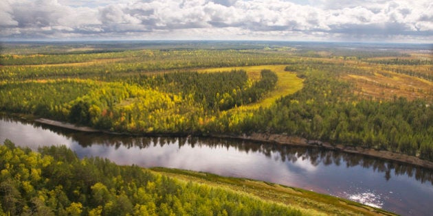 Autumn, taiga, Western Siberia.Khanty-Mansi Autonomous Area. Russia.