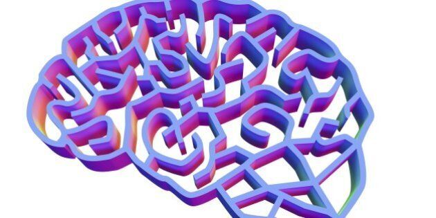 Brain complexity. Conceptual computer artwork of a brain represented as a complex maze. This could represent the complexity of the human brain, and the difficulty of researching brain conditions such as Alzheimer's disease.