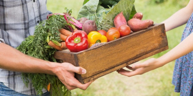 Farmer giving box of veg to customer on a sunny day