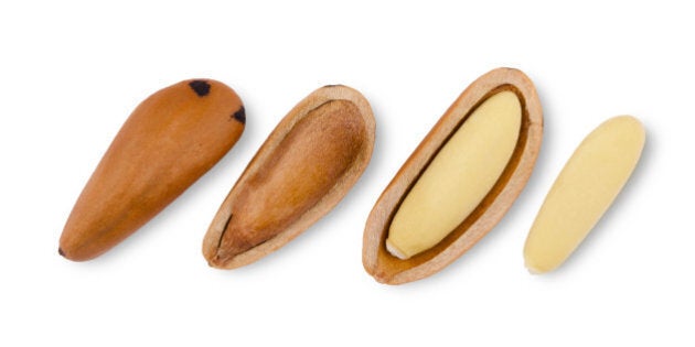 Stone pine seeds, nutshells and shelled nuts over white background. Pinophyta seeds in a row. Close up macro food photo from above on white background.