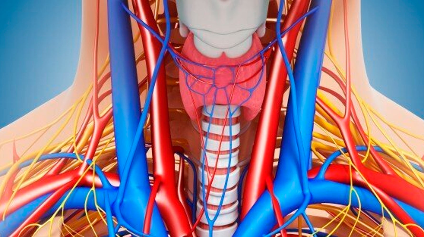 CCSVI MS Theory Cast Into Doubt By CMA Study HuffPost Canada Life