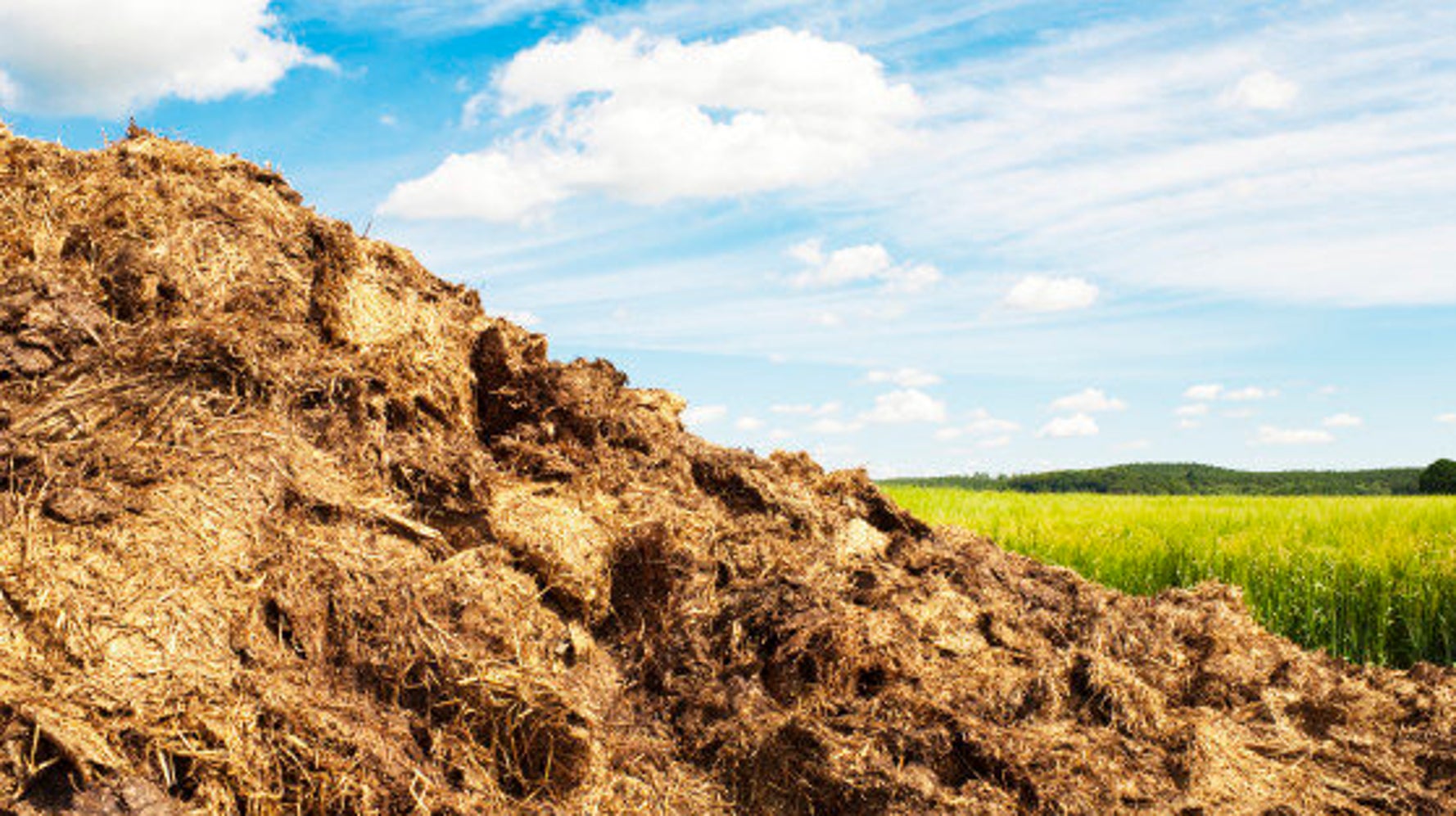 Manure Pile Dump In New Brunswick Leads To 17,000 Payout For Grumpy