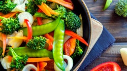 Protein From Vegetarian And Vegan Food
