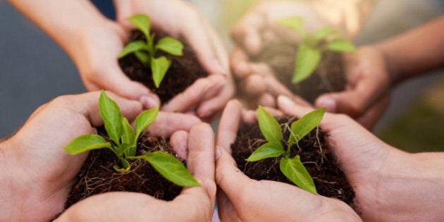 Cropped shot of a group of people holding plants growing out of soil