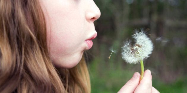 Girl blowing dandelion seeds