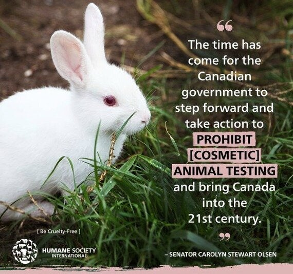 animal testing cosmetics facts