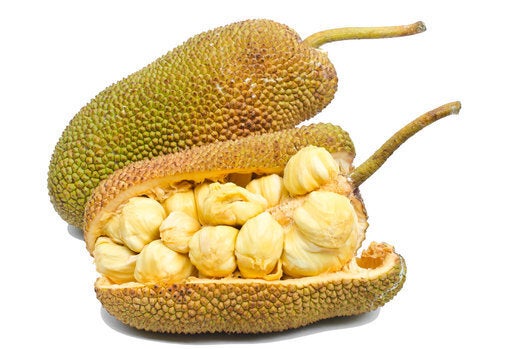 Jackfruit