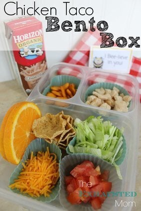 Cheap lunch containers