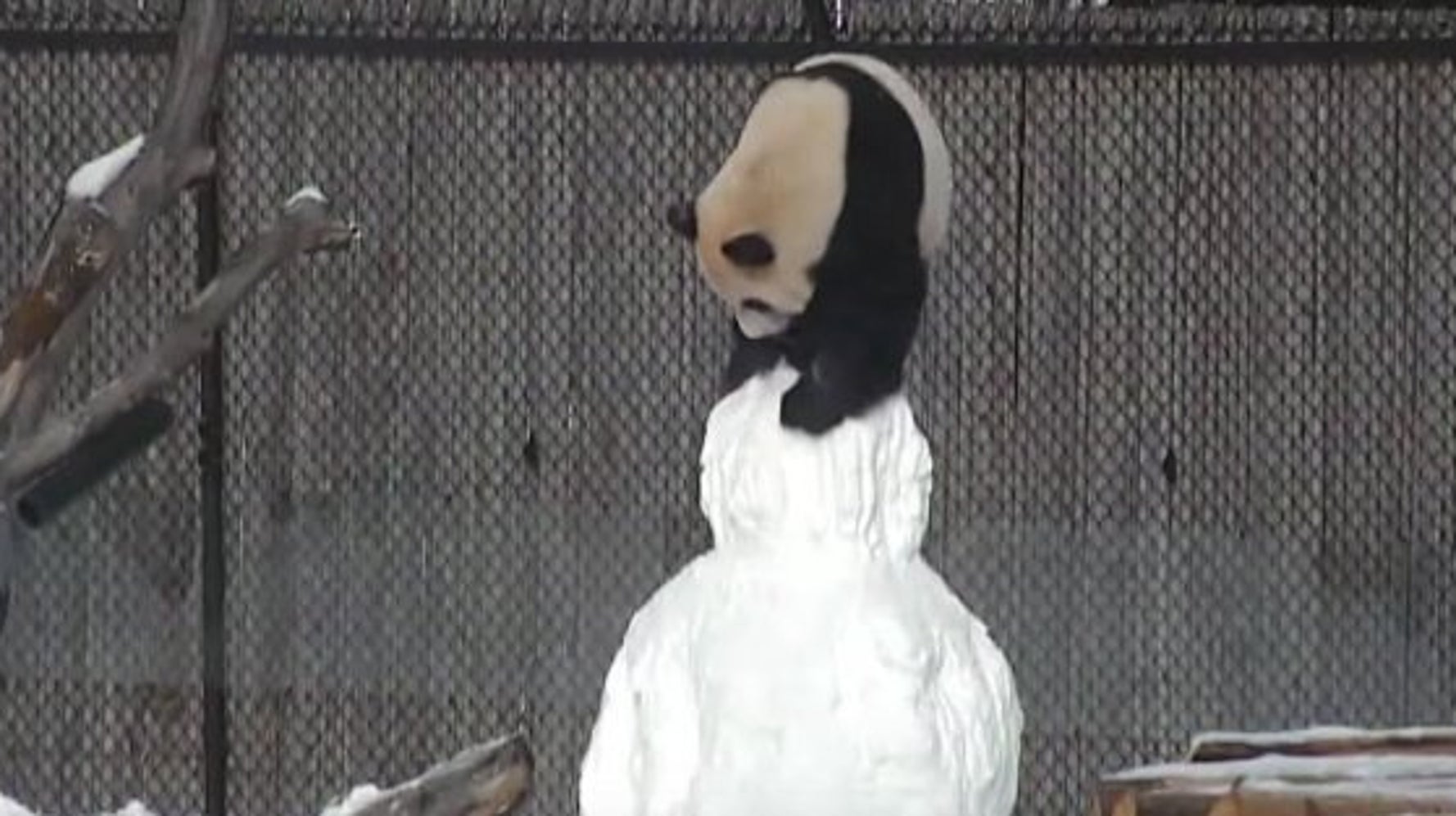 Royal panda self exclusion form Royal panda self exclusion form