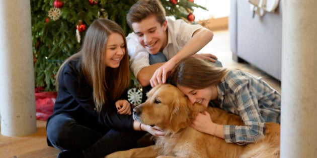 Three young friends cuddling with Golden Retriever on the floor of living room at Christmas time