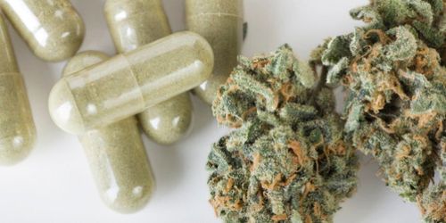 Consume Cannabis To Lose Weight HuffPost Life