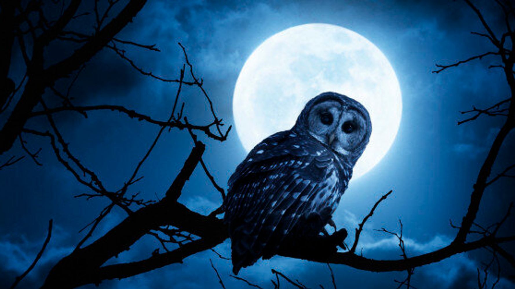 living,night owl,night owl benefits,Night Owl Benefits of Working at Ni...