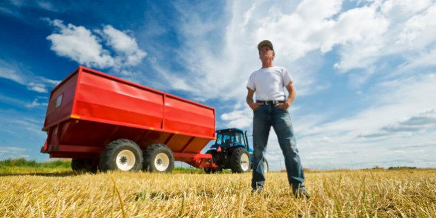 a farmer standing in oat stubble in front of a tractor and grain wagon during the harvest, near Dugald, Manitoba, Canada