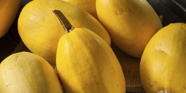 Raw Organic Yellow Spaghetti Squash on a Background