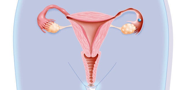 female fluid release female fluid release
