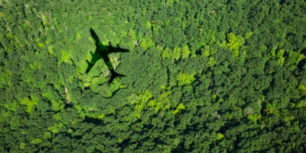 Shadow of airplane over forest