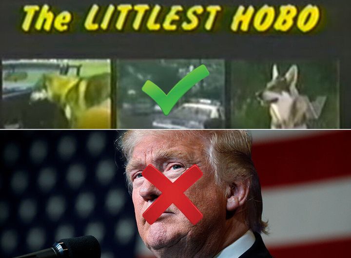 Combat the insanity of the U.S. election campaign with some good ol' "Littlest Hobo" action.