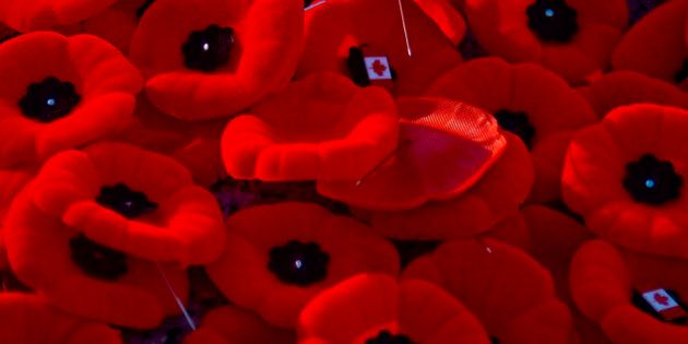 Remembrance Day Poppies, with Canadian Flag Pins