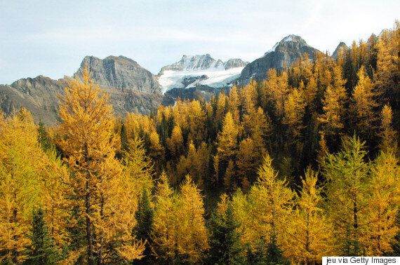 Alberta's Most Awe-Inspiring Hikes To Do This Fall | HuffPost Canada ...