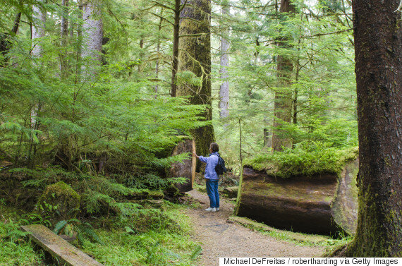 25 Of The Best Places To Hike In Canada | HuffPost Life